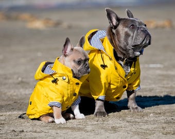 Yellow Dog Raincoat With Removable Hood - Waterproof Dog Jacket For Small to Large Dogs - Raincoat For Dogs & Puppies - Sizes XXS - XXL
