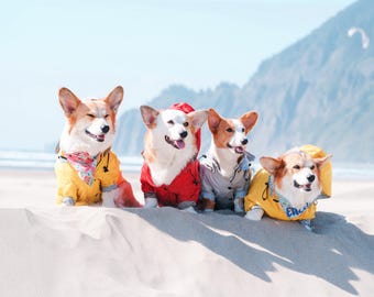 Stylish Dog Raincoat With Removable Hood - Pet Rain Jacket For Small to Large Dogs - Raincoat For Puppies & Dogs - XXS to XXL