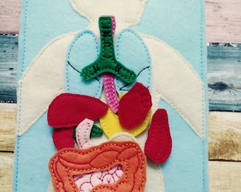 Felt Anatomy Board: Human Body Organ Learning Set