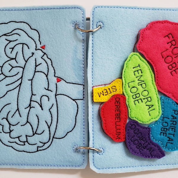 Human Brain puzzle quiet book page - brain maze - learning board - Medical Play Set - human body - busy board education