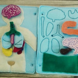 Anatomy board - anatomy quiet book page - 10 organ pieces - learning board - Medical Play Set - human body - busy board - quiet book page