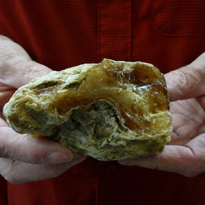 May include: A large, irregularly shaped piece of amber with a translucent, honey-colored interior and a rough, opaque exterior.