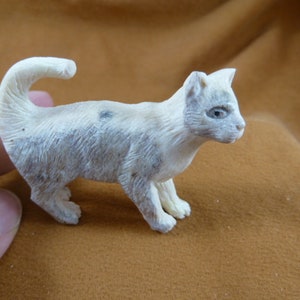 Könnte beinhalten: Eine weiße und graue geschnitzte Katzenfigur mit einem eingerollten Schwanz. Die Figur ist aus Knochen gefertigt und hat ein realistisches Aussehen.