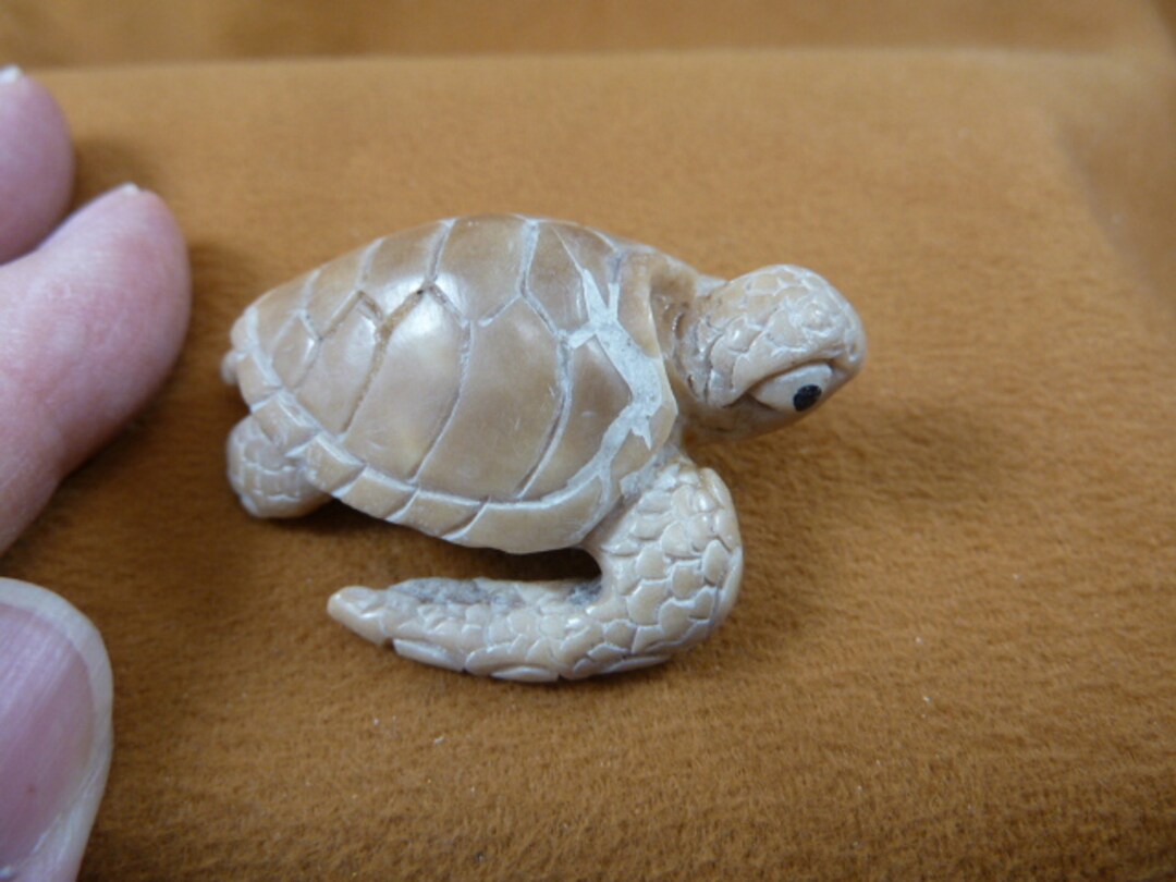 Little White Sea Turtle Tagua Nut Figurine Bali Detailed Carving