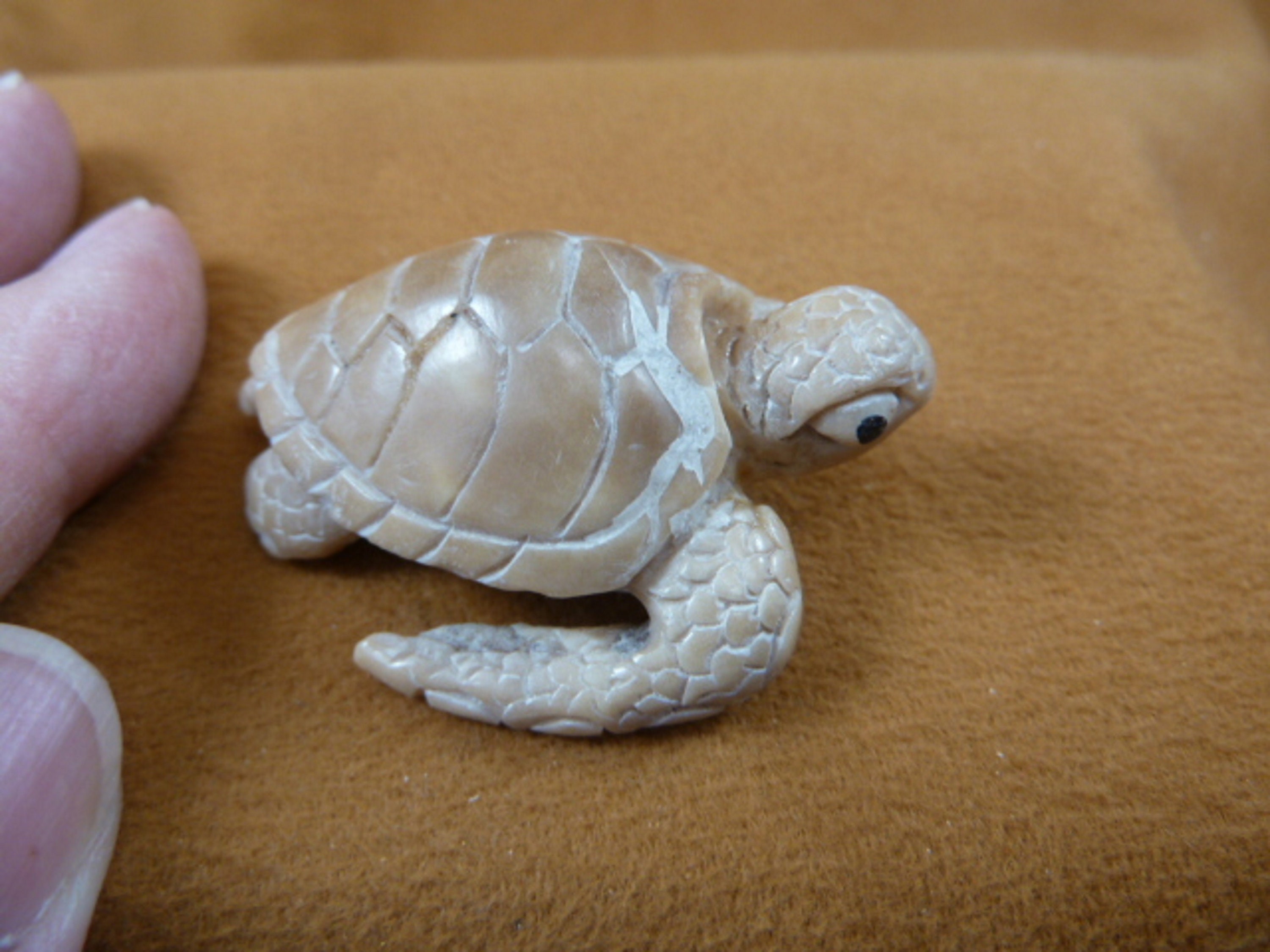Little White Sea Turtle Tagua Nut Figurine Bali Detailed Carving