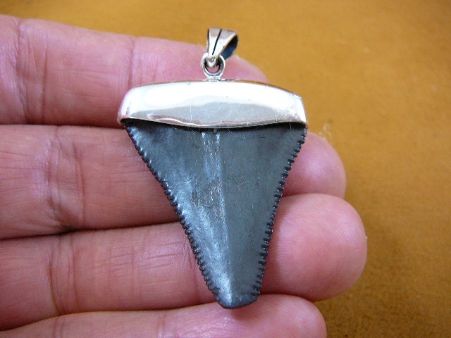 vintage SHARK TEETH pendant top サメの歯 3連 vintage SHARK TEETH pendant top サメの歯 3連