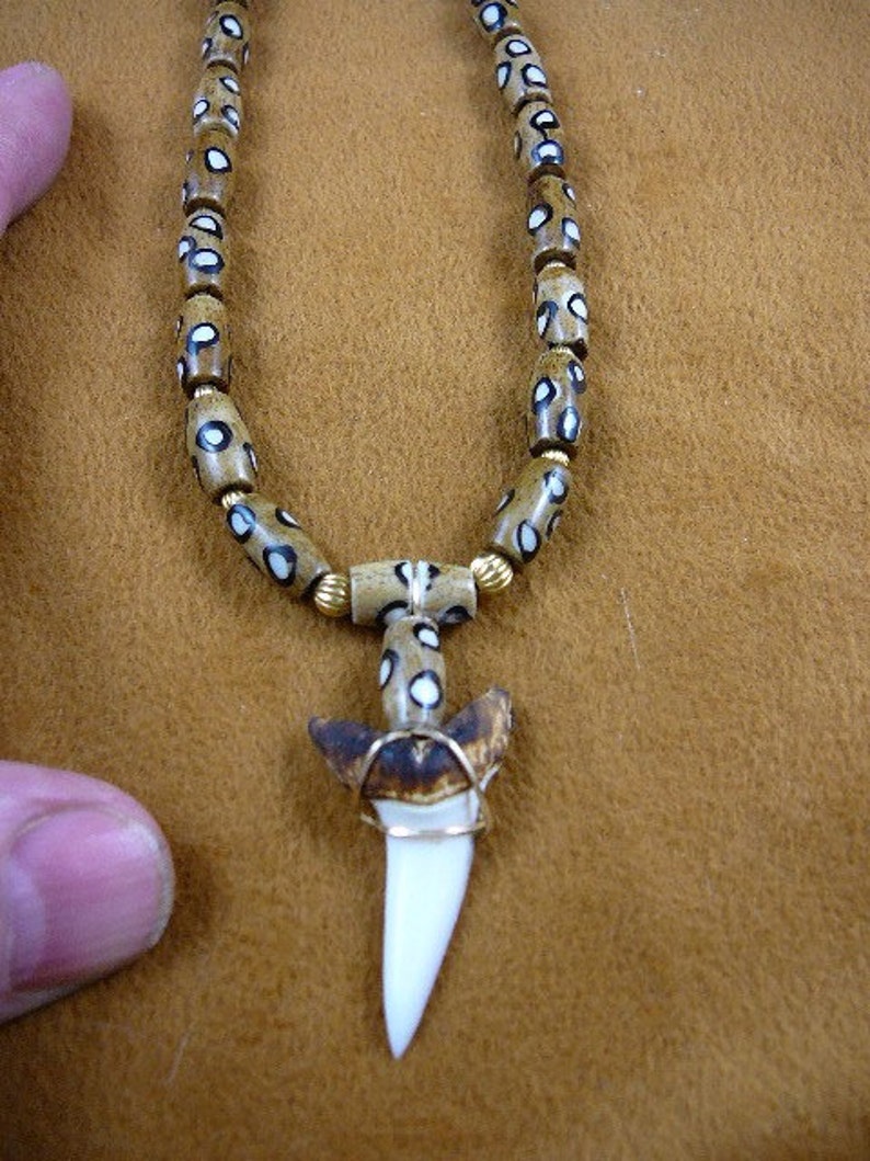 Modern Mako Gold Wire Wrapped great Shark Tooth teeth 3//4/" necklace