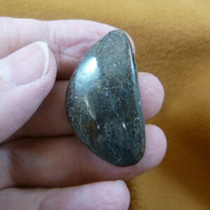 brown red gray white Real Dinosaur bone drilled pendant for necklace Utah Dino Fossil dino Weird DP3-405