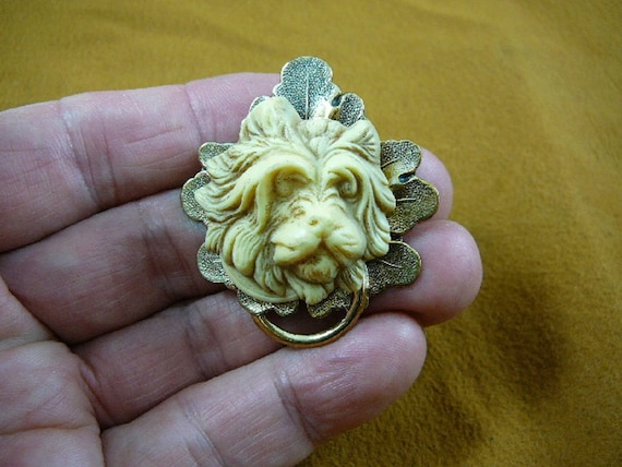 Yorkshire Terrier Dog Yorkie CAMEO Puppy Ivory White Dog Pup Puppy