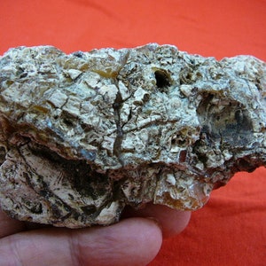 60 g Rare Kauri tree Gum nugget make your own jewelry young copal Amber New Zealand Tane Mahuta K-3000