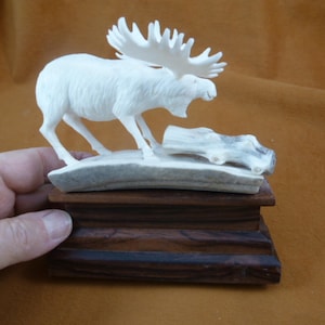 white Moose Elk bull running of shed ANTLER figurine on wood base Bali detailed carving of shed Moose antler display Moose-57