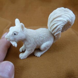 May include: A small, off-white squirrel figurine with a textured, bushy tail and detailed fur markings. The squirrel is depicted in a seated position with its front paws tucked near its chest, featuring dark, defined eyes and a sculpted snout.