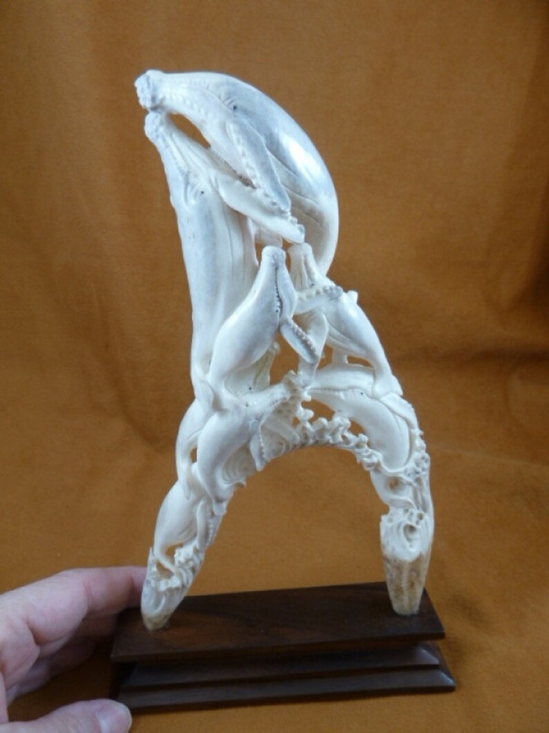Whale pod of 8 Humpback Whales of shed ANTLER figurine Bali detailed carving of shed Moose antler Whale-25