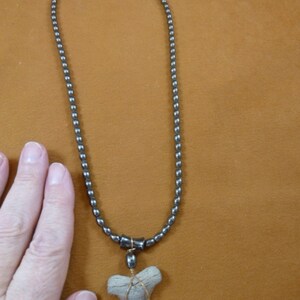 1-3/8 inch Fossil Mako shark tooth teeth gold wired on 20" black hematite gemstone bead necklace S687-44