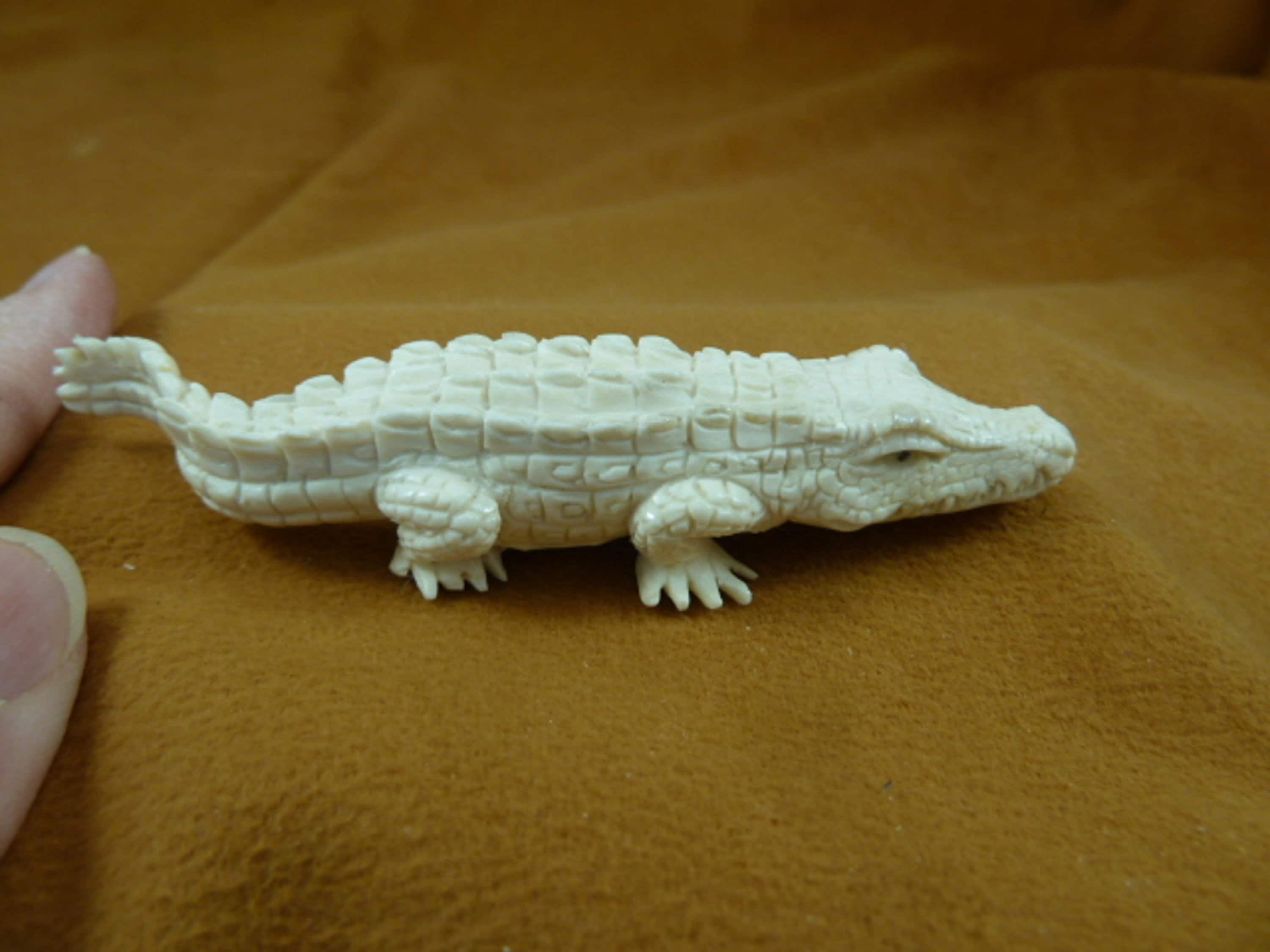 バリ島の白ワニの枝角の置物 精巧な彫刻 ワニ ワニ Croc-4 - Etsy 日本