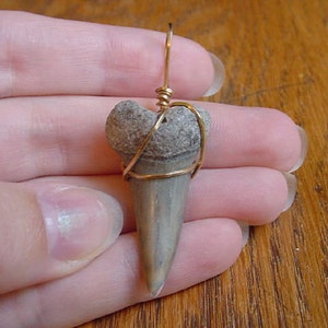 1-1/2 inch Fossil MAKO Shark Tooth Teeth gold wired pendant necklace JEWELRY S688-B