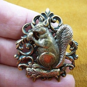May include: A gold-toned metal brooch featuring a detailed squirrel holding a nut, sitting on a tree stump. The squirrel is surrounded by an ornate, scrolled frame.