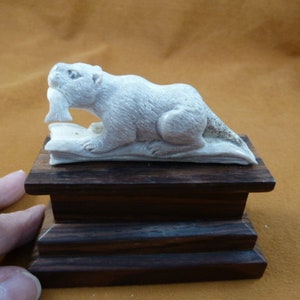 little white Otter holding a fish of shed ANTLER figurine Bali detailed carving of shed Moose antler display love otters OTT-17