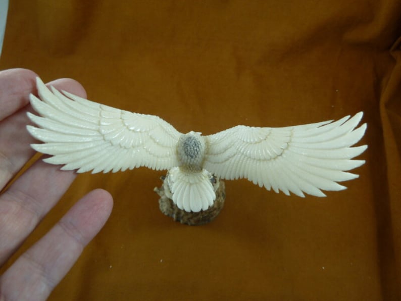 white Bald Eagle flying of shed ANTLER figurine on wood base Bali detailed carving of shed Moose antler display I love eagles Eagle-19