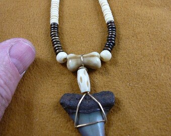 1-5/8 inch Fossil MAKO Shark Tooth gold wired pendant on 20" long off white brown bead necklace jewelry sharks teeth S690-J