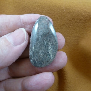 gray white Real Dinosaur bone drilled oblong pendant for necklace Utah Dino Fossil dino Weird DP3-408