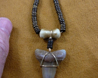 1-1/2 inch Fossil Mako shark tooth teeth gold wired on 20" brown cow bone bead necklace S688-3