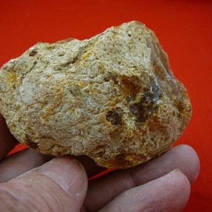 65 g Rare Kauri tree Gum nugget make your own jewelry young copal Amber New Zealand Tane Mahuta K-2673