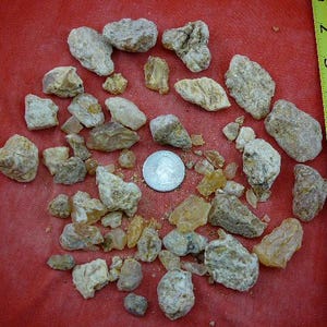 May include: A collection of irregular, rough-textured, off-white and amber-colored mineral stones scattered around a silver-colored US quarter coin. A yellow measuring tape is positioned on the right, showing a scale in inches up to 7 inches.