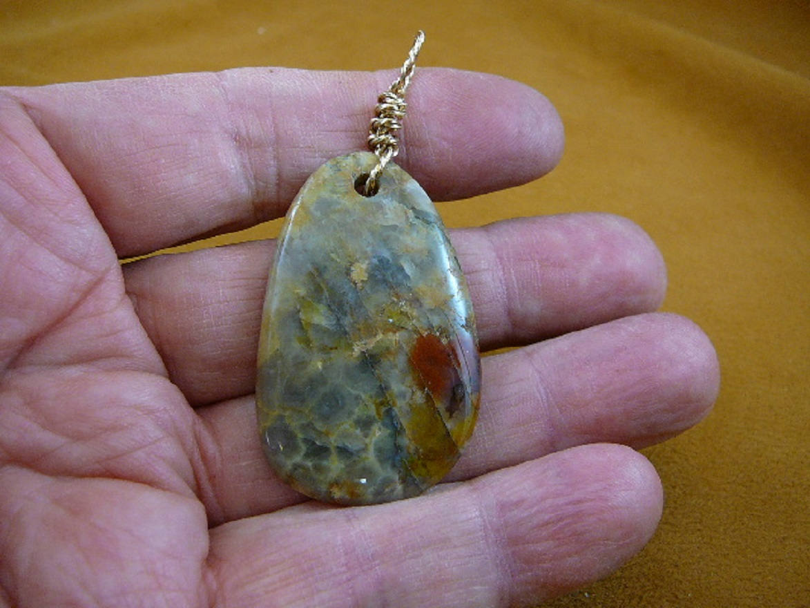 DINOSAUR POOP Wired Oval Teardrop - Etsy