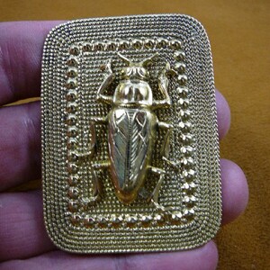 Cockroach roach bug bugs Buprestid beetle insect dot textured design rectangle fun brass pin pendant Wild B-Bug-122