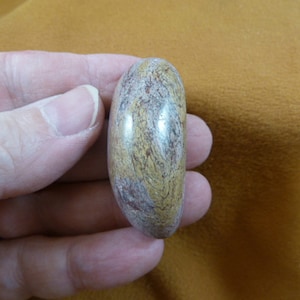 gray red tan Real Dinosaur bone drilled pendant for necklace Utah Dino Fossil dino Weird DP3-400
