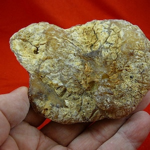130 g Rare Kauri tree Gum nugget make your own jewelry young copal Amber New Zealand Tane Mahuta K-2132
