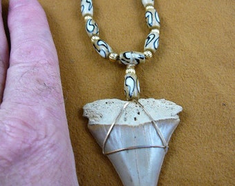 2-1/4" MAKO FOSSIL Shark Tooth gold wired on "comma" design bone beads + gold brass bead 20" necklace Teeth pendant necklace JEWELRY S695-2