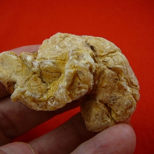 25 g Rare Kauri tree Gum nugget make your own jewelry young copal Amber New Zealand Tane Mahuta K-3320