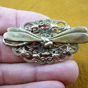 Dragonfly insect pond bug lover on filigree scrolled oval Victorian BRASS pin brooch B-DRAG-1