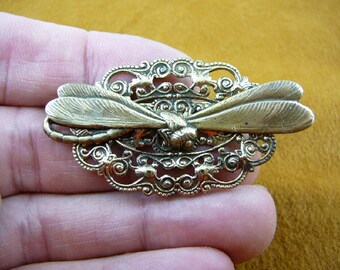 Dragonfly insect pond bug lover on filigree scrolled oval Victorian BRASS pin brooch B-DRAG-1