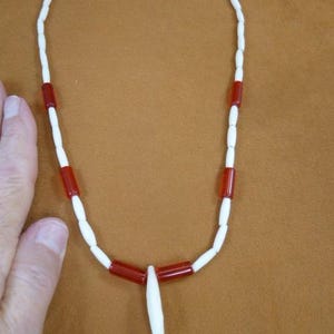 COYOTE wild dog one 1 Tooth TEETH Jewelry white bone bead red glass beads beaded 18" NECKLACE W30-b