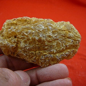 May include: A large, irregularly shaped piece of amber with a rough, textured surface. The amber is a light yellow color with a slightly translucent quality.