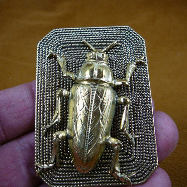 Cockroach roach bug bugs lover love gross insect textured rectangle dot fun brass pin pendant Wild B-Bug-105