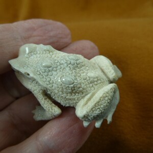 Figurine Grenouille Assise Sur Champignon – Bois Sculpté Main – Bali Indonésie