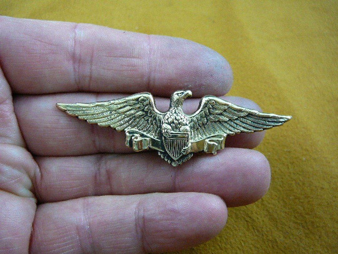 Eagle Military Pin