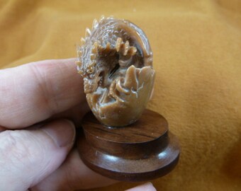 little tan Dragon tagua nut figurine Bali detailed carving display love mystical dragons tb-drag-4