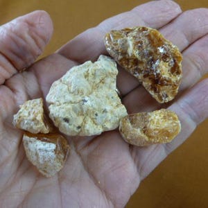 25 g Kauri tree Gum Metaphysical large chips copal Amber NZ Tane Mahuta incense New Zealand K-4076