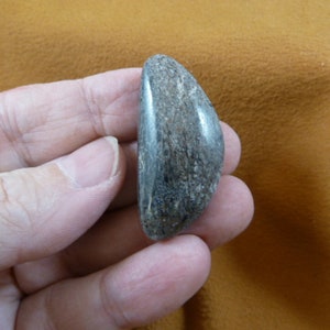 gray white Real Dinosaur bone drilled pendant for necklace Utah Dino Fossil dino Weird DP3-406