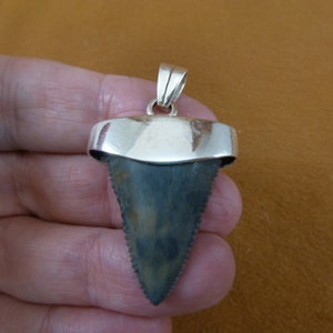 1-3/8 inch Fossil Great white shark tooth teeth SILVER Cap capped pendant necklace S550-18