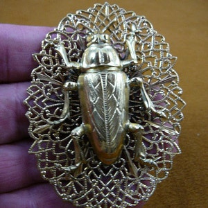 Cockroach roach bug bugs Buprestid beetle insect filigree fun brass pin pendant Wild B-Bug-107
