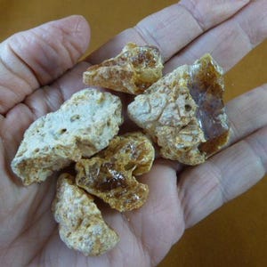 May include: A handful of amber-colored, irregularly shaped resin pieces. The pieces vary in size and have a translucent, glassy appearance in some areas. The resin has a rough, textured surface and a warm, golden hue.