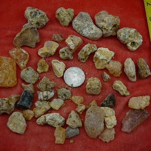 100 g Rare Kauri tree Gum chips Metaphysical purposes or burning as incense young copal Amber New Zealand Tane Mahuta K-4024