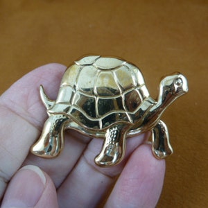 glänzende kleine Galapagos Schildkröte Schildkröten Liebhaber Liebe viktorianischen Repro Messing Pin Anhänger Schmuck Mode Tierliebhaber b-turt-224