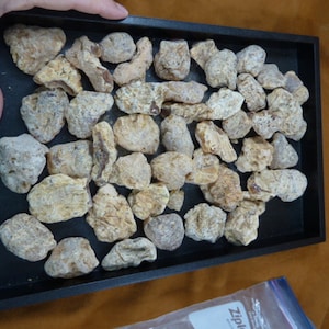 May include: A tray filled with a large collection of amber stones. The stones are various shades of yellow, brown, and white. The stones are arranged in a random pattern.